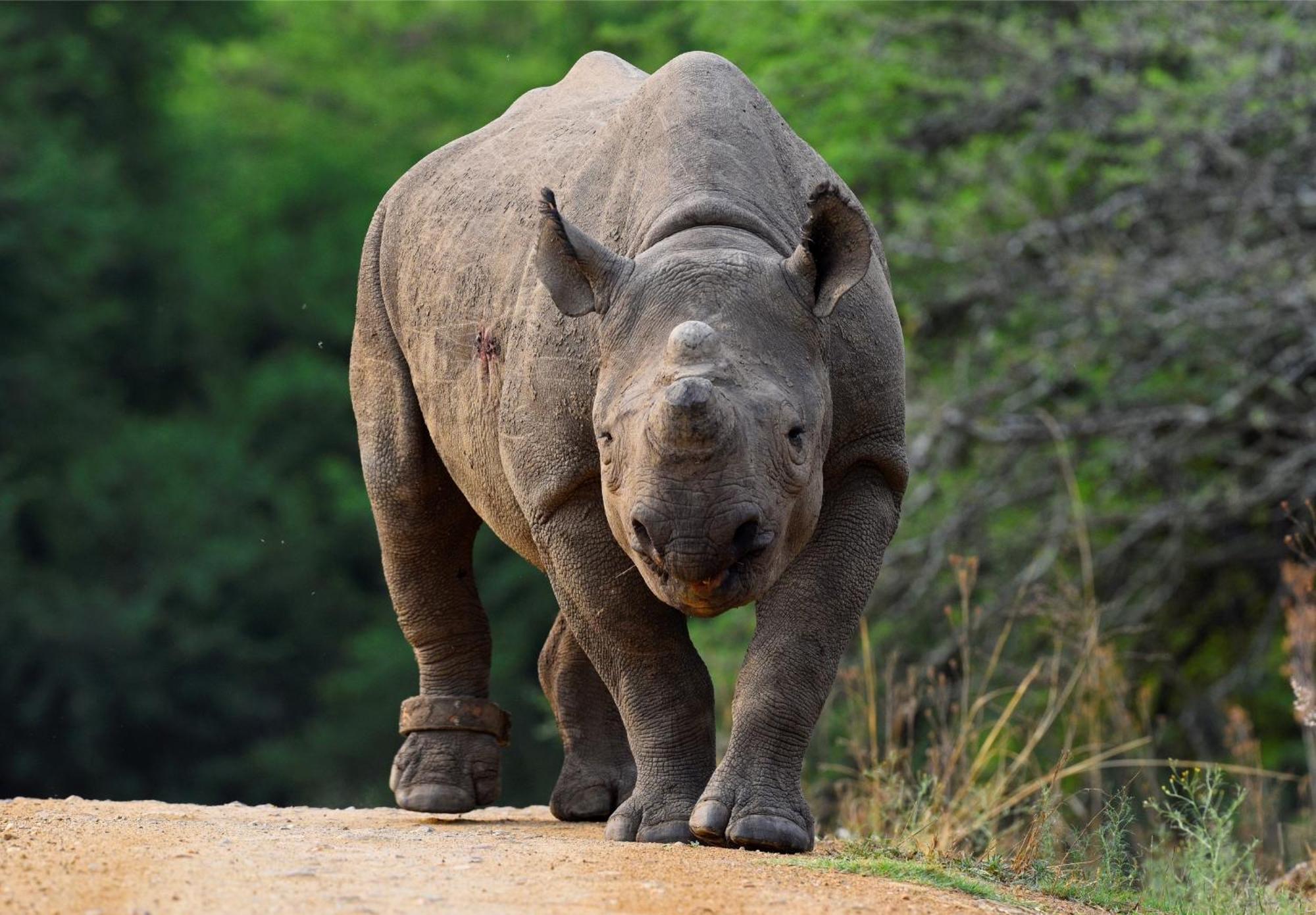 Valley Lodge - Babanango Game Reserve دندي المظهر الخارجي الصورة