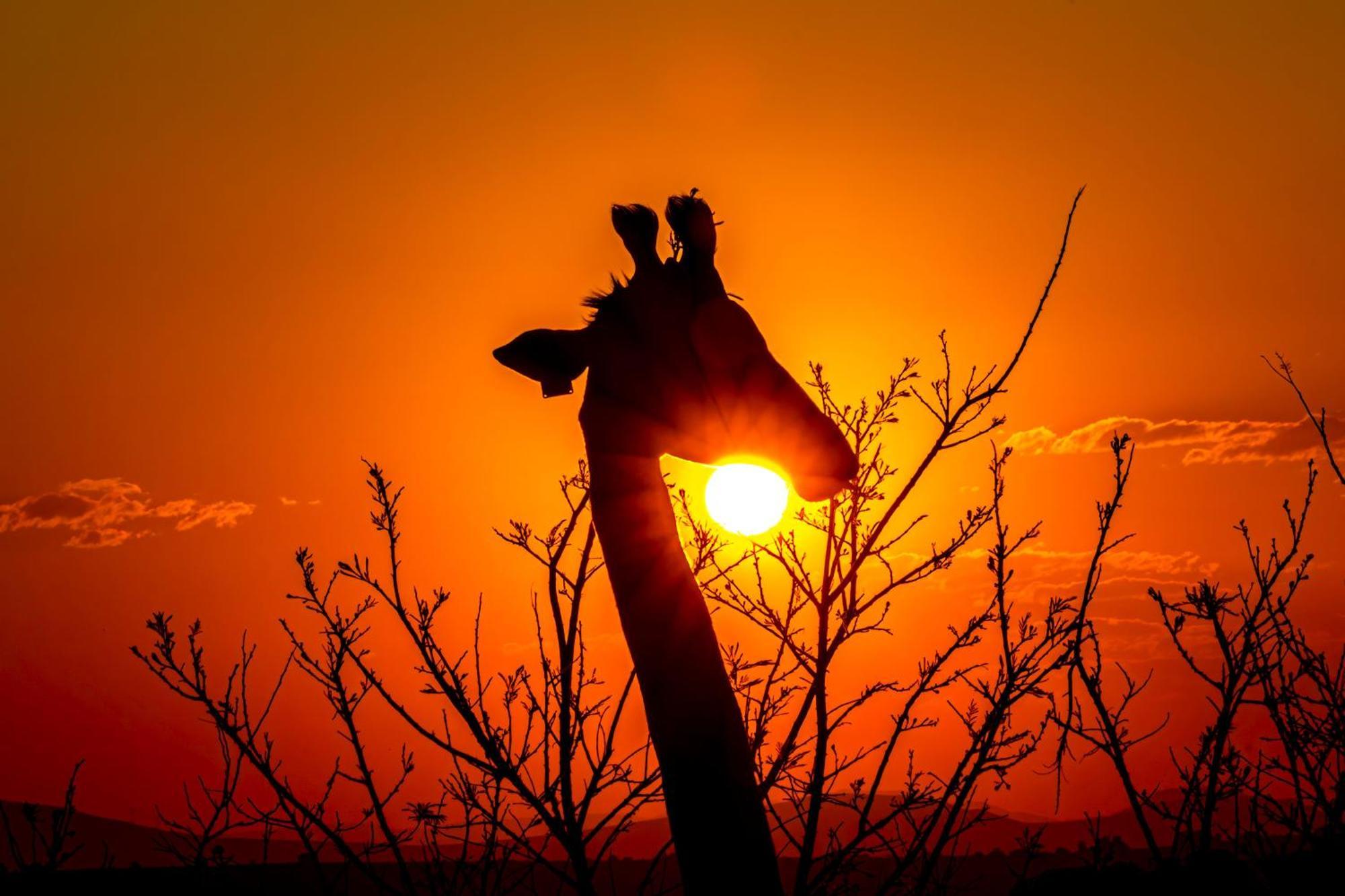 Valley Lodge - Babanango Game Reserve دندي المظهر الخارجي الصورة