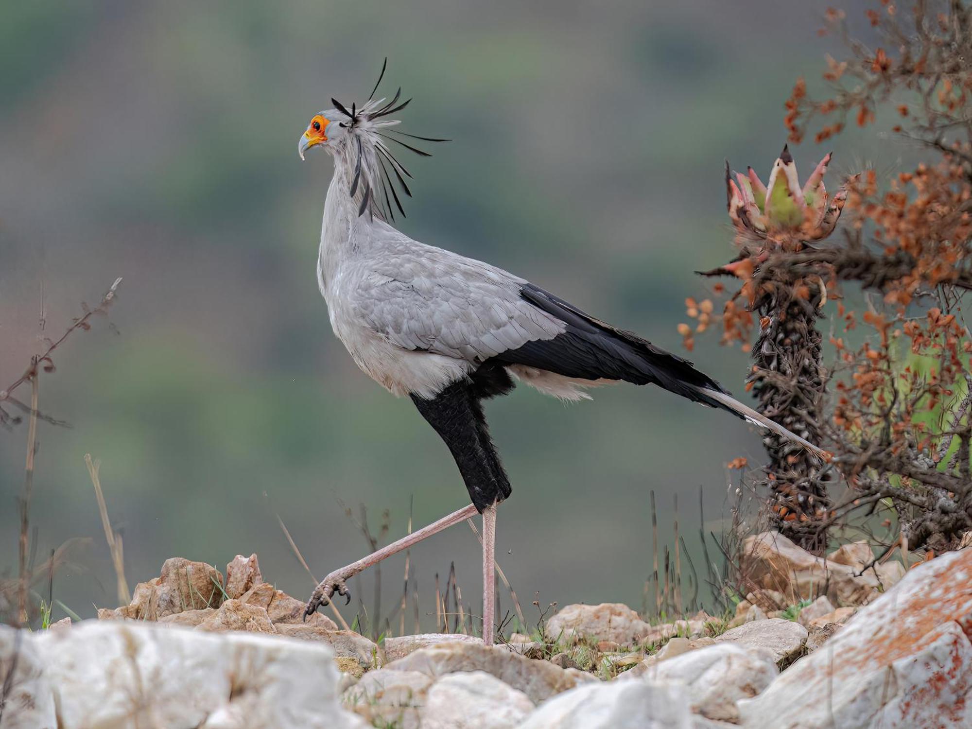 Valley Lodge - Babanango Game Reserve دندي المظهر الخارجي الصورة