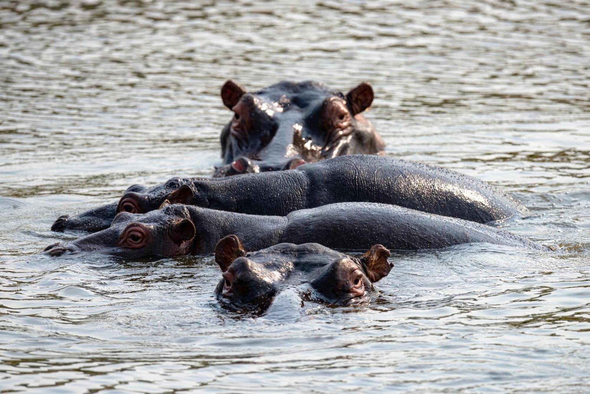 Valley Lodge - Babanango Game Reserve دندي المظهر الخارجي الصورة