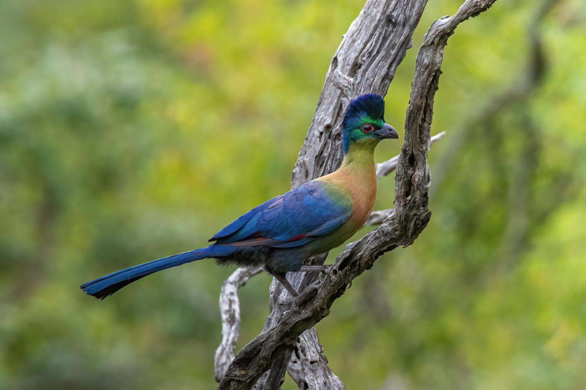Valley Lodge - Babanango Game Reserve دندي المظهر الخارجي الصورة