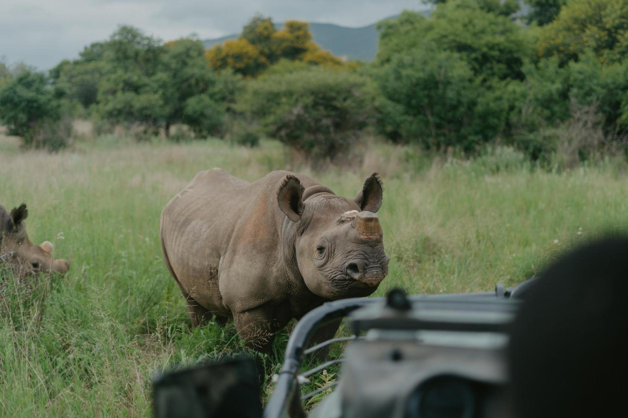 Valley Lodge - Babanango Game Reserve دندي المظهر الخارجي الصورة