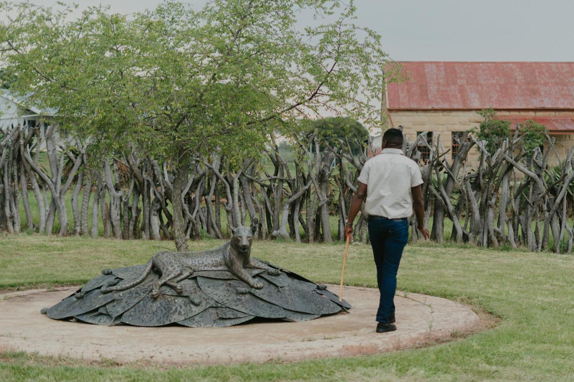 Valley Lodge - Babanango Game Reserve دندي المظهر الخارجي الصورة