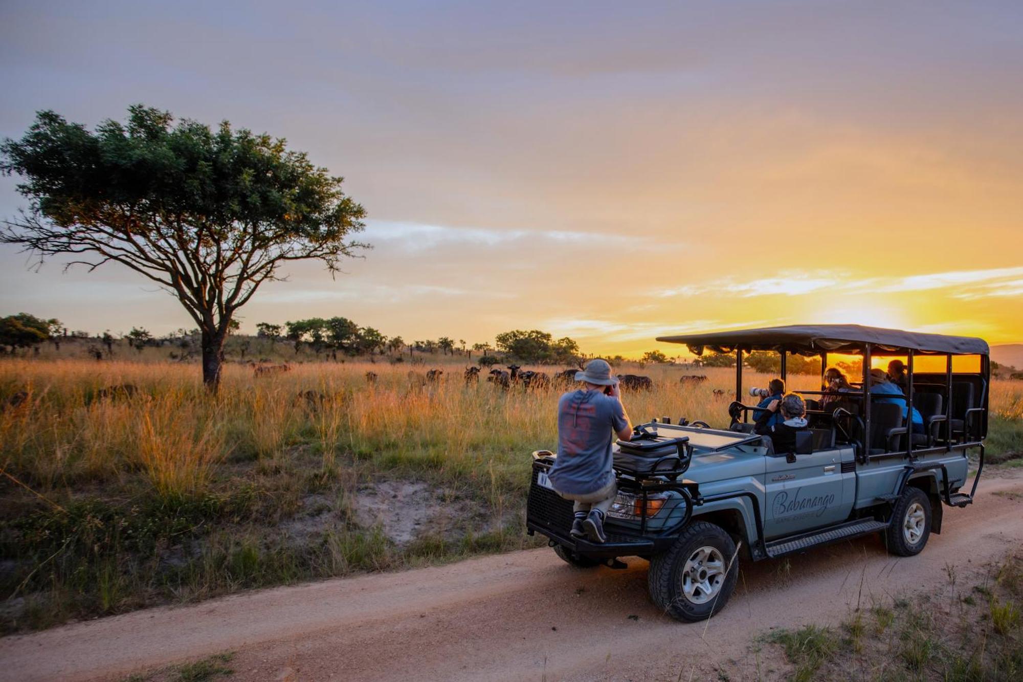 Valley Lodge - Babanango Game Reserve دندي المظهر الخارجي الصورة