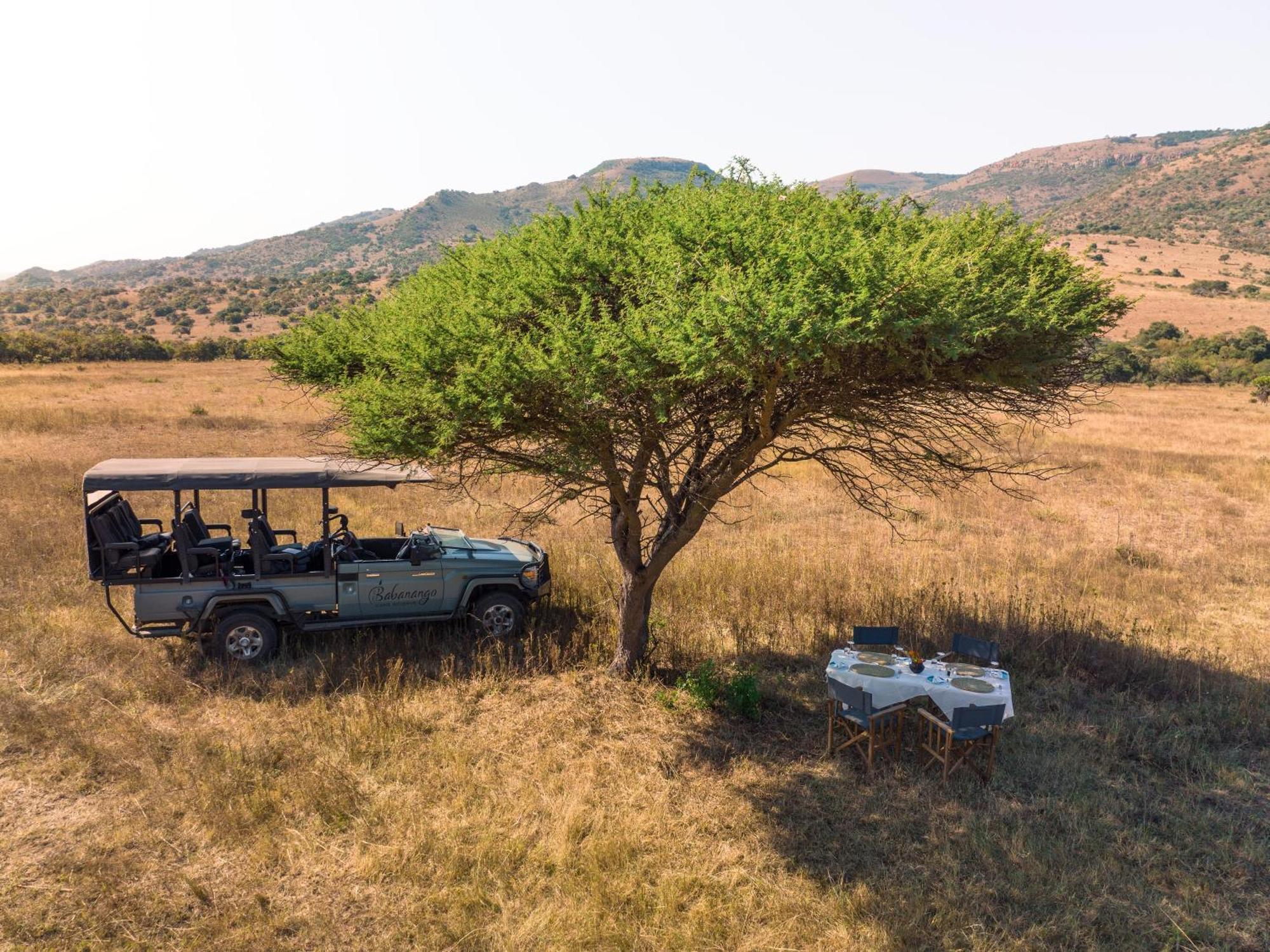 Valley Lodge - Babanango Game Reserve دندي المظهر الخارجي الصورة